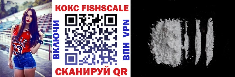 закладки  OMG маркетплейс  COCAIN FishScale  Сураж 
